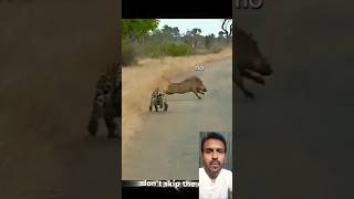 Building Wooden Log Cabin in ForestSurvival House Step by Step" GSM2.0 2000 #logbuilding