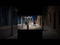 Vex Files: Case #01 - The Feline Masters #VexFiles #viral #shorts #reels