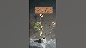آية ٢١ " أولم يسيروا في الأرض فينظروا كيف كان عاقبة الذين كانوا من قبلهم" سورة غافر