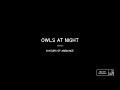 Nighttime Nature Ambient Sounds of Forest Wildlife Crickets Owls Trees - 8 Hours of Ambiance