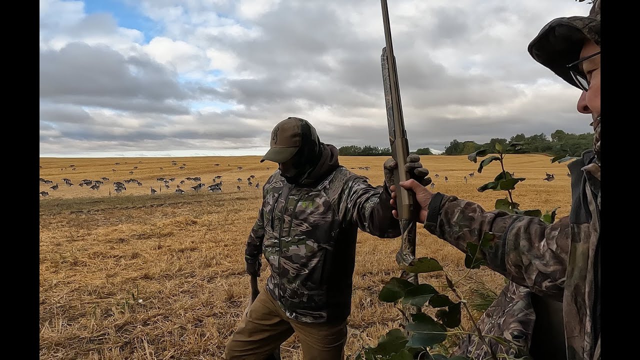 Goose and Duck Hunting Alberta 2022 YouTube