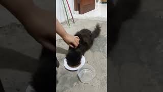 Wellcome New Member..