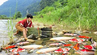 wandering boy cuts bamboo to make a fish trap basket.  Use traps to catch many fish in the stream.