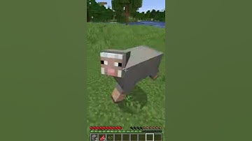 speedrunning a random item in minecraft #shorts