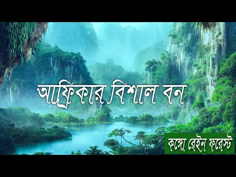 ভিডিও: বাচ্চাদের জন্য রেইনফরেস্ট কোথায় অবস্থিত?