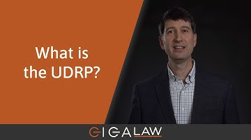 Domain Dispute Masterclass (#2): What is the UDRP?
