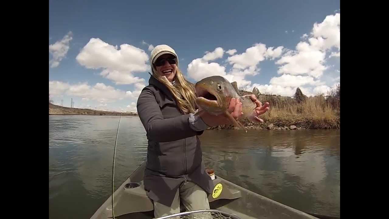 Grey Reef Anglers Rainbow Catch & Release 