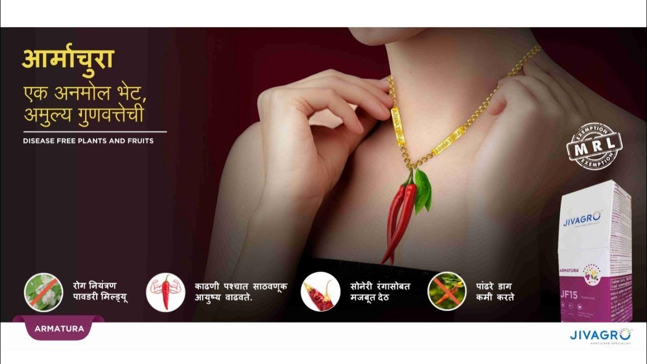 armachura-fungicide-jivagro-control-of-powdery-mildew-of-chilli-and