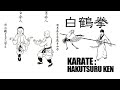 糸東流において高段者だけが学べた幻の拳法！『秘伝！白鶴拳 』One of the Origins of Karate HAKUTSUken transmitted in the Shitoryu