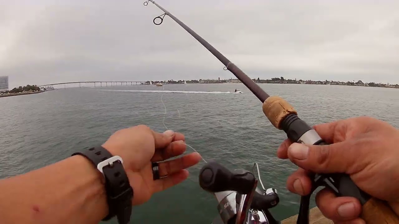 sd bay dock side lil tour 