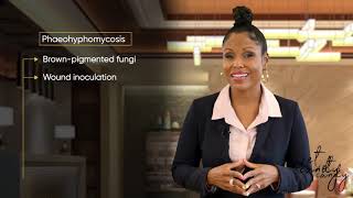 Celebrity How to Pass the NAVLE | Vet Candy's NAVLE Warriors Prep Program Explained Net Worth