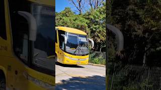 SÃO PAULO x NANUQUE | NOVA ITAPEMIRIM EM SÃO PAULO