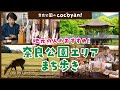 【奈良公園 観光】 cocoyan! 地元の人とつくる観光お出かけマップ! 奈良公園篇