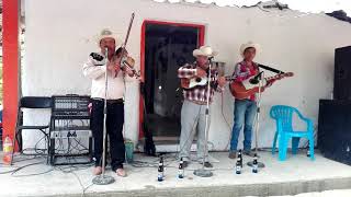 Nuevamente el Trio alma de Hidalgo de Arroyo de cal