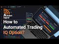 Jazib bot iqautowin automatic trading binary robot iq option binaryoptions  automatedtrading
