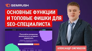 Semrush. Обзор Семраш. Аналоги и бот Semrush, как пользоваться на русском, анализ ссылок в Semrush