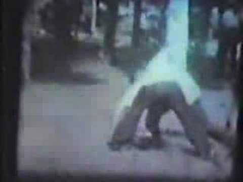 Han Ching Tan system kung fu video