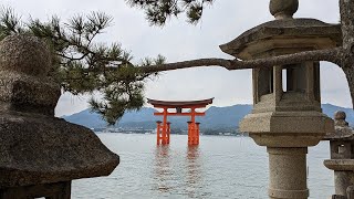 Japan Pt 6  Hiroshima & Miyajima Island