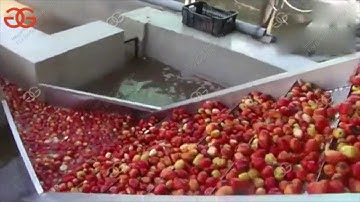 How to Make Tomato Paste? Tomato Ketchup Paste Automatic Production Line @gelgoog.com