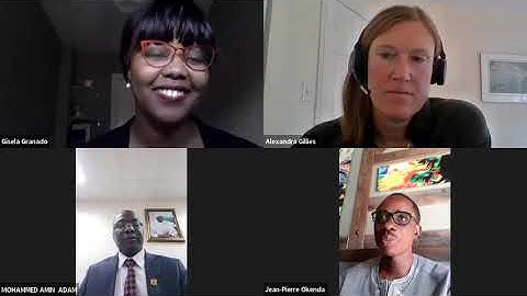 What standards & practices can prevent corruption from infiltrating critical mineral supply chains?