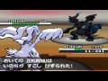 Pokemon Black & White Wifi Battle: KingDaddyDMAC 10,000 Sub Special [ legendary / Event ]