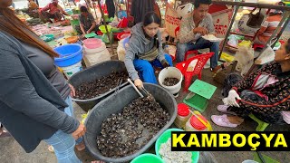 Fare ve Yılan Satılan Pazarlar, Başkent Phnom Penh, Battambang şehirleriyle Kamboçya Gezimiz by Rotasız Seyyah 71,416 views 2 months ago 40 minutes