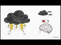 Migraine Pathophysiology: Cortical Spreading Depression &amp; Trigeminal Activation