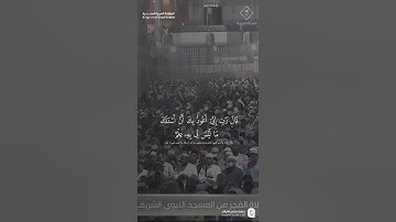 مقتطف من تلاوة فضيلة الشيخ #خالد_المهنا من صلاة الفجر 22 ذو القعدة 1446هـ