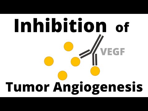 Treatments AGAINST Tumor Angiogenesis