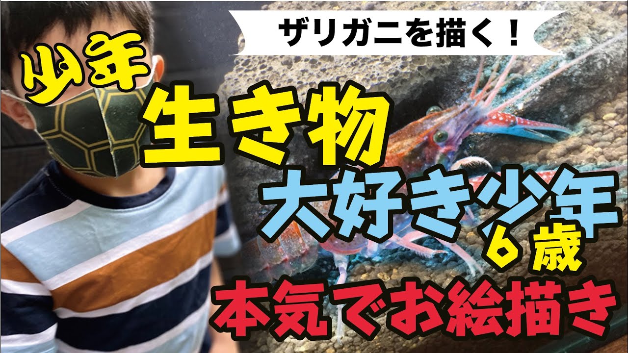 ザリガニの描き方 生き物大好き少年 ６歳 本気でお絵かき ザリガニに挑戦 Youtube