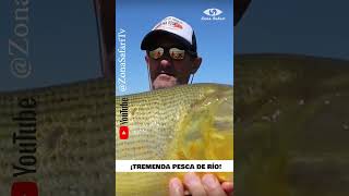 💙 ¡CONSEJOS DE PESCA! #pesca