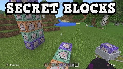 24 SECRET BLOCKS In New Minecraft Xbox