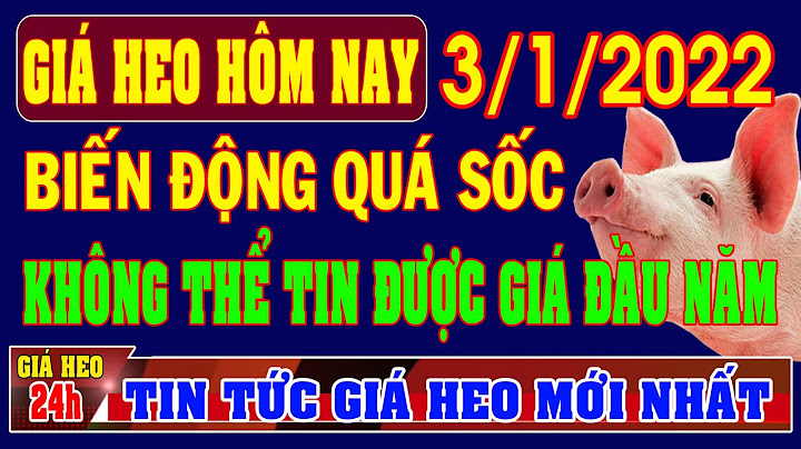 Giá lợn hơi là gì