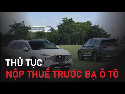 Video: Các lĩnh vực của lĩnh vực sản xuất. Phân loại ngành