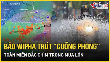Khẩn: Bão số 3 Wipha trút “cuồng phong” giật cấp 13, toàn miền Bắc chìm trong mưa lớn | VietNamNet