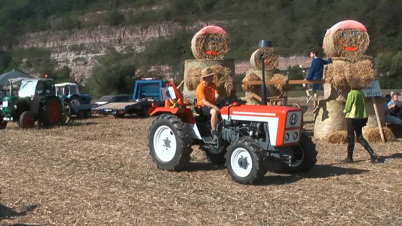 Ackern in Oelknitz 25.09.2016