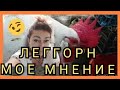 Яйценоскость Леггорн//Куры Леггорн Белый Стандарт в моем Хозяйстве, Плюсы, Минусы//Петух Леггорн