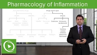Pharmacology of Inflammation - Pharmacology | Lecturio