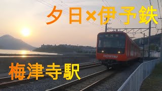 【伊予鉄】夕方の梅津寺駅を発車する610系