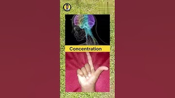 Concentration #kazoltechnology #concentration #music #song #biology