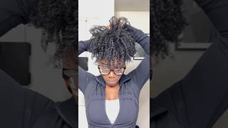 Quick High Puff Tutorial on Wash N Go Styled Natural Hair