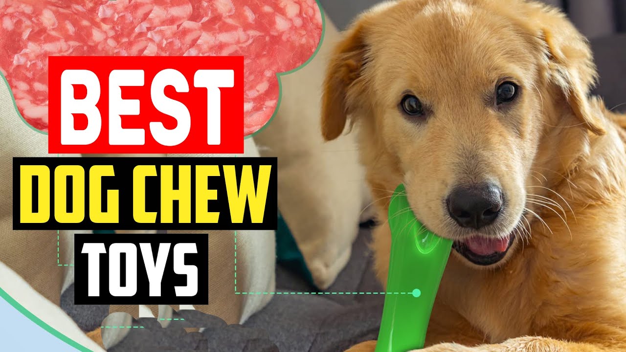 5 Best Dog Chew Toys Of 2023 You