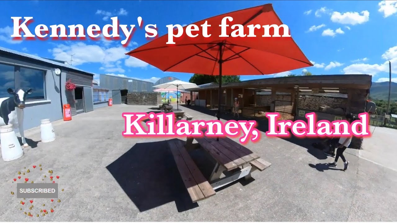 Kennedy's Pet farm, Brewsterfield, Killarney Ireland YouTube
