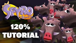 Beast Makers Homeworld 120% Tutorial / Breakdown