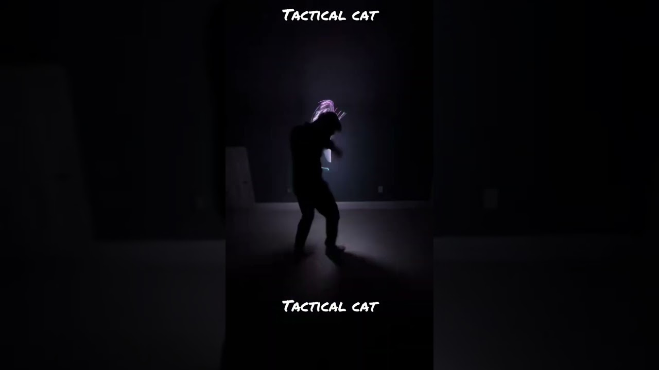 #edm #flowdance #light #music #ravescene #tacticalcat #whip #fyp #helix #flume