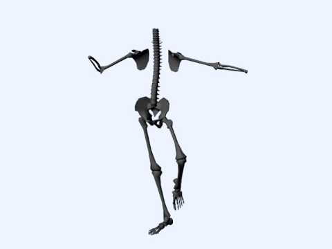 Walk Cycle with Maya Mel Script