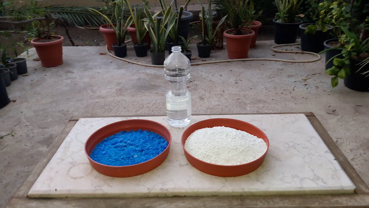 طريقة تحضير "عجينة بوردو" لدهان سيقان كافة الأشجار والشجيرات، وأهمية الطلاء