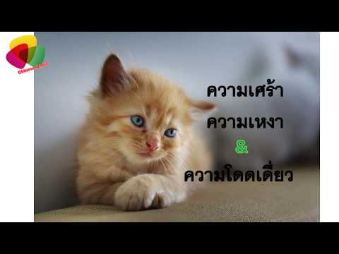 ประโยคภาษาจีนที่แสดงออกถึงความเศร้า ความเหงา ความโดดเดี่ยว
