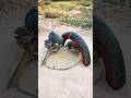 Amazing New Trap - Good Bird Trap # Quail Trap # Shorts
