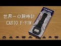 【CASIO】世界一の腕時計　F-91W【チプカシ】